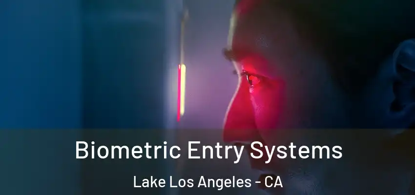 Biometric Entry Systems Lake Los Angeles - CA