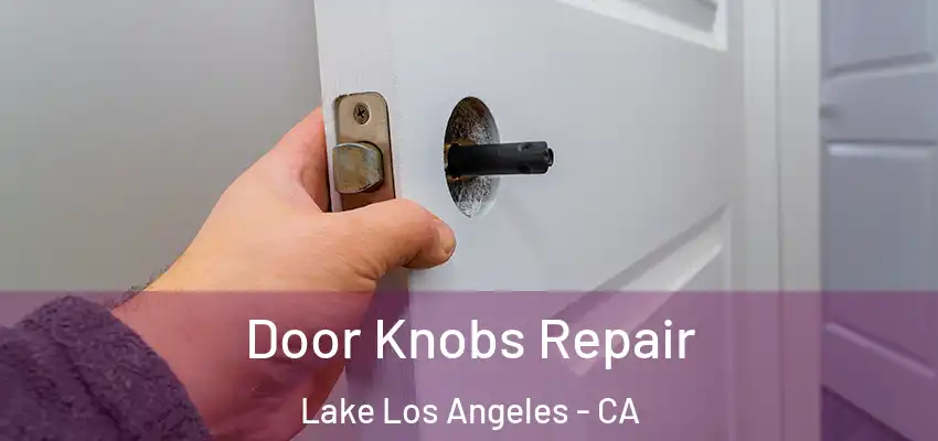 Door Knobs Repair Lake Los Angeles - CA