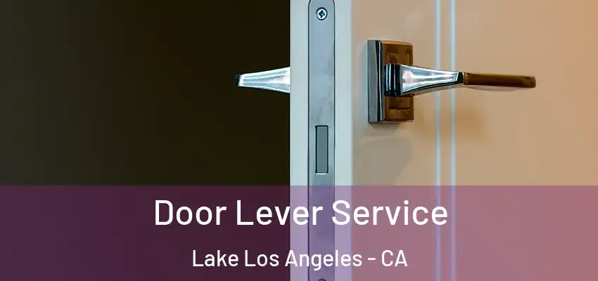 Door Lever Service Lake Los Angeles - CA